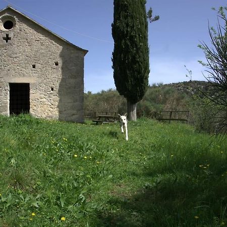 Apartmán Casa Greta - Orco-Feglino Orco Feglino Exteriér fotografie